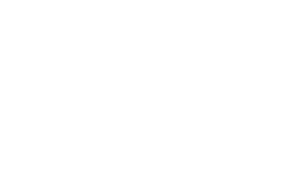 DukeElectricLogo_White