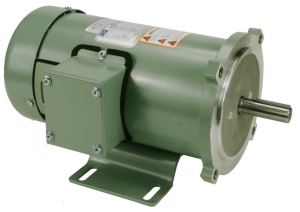 AGI PM000(0.5HP, 1800RPM, 90V) - Duke Electric