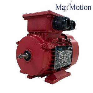 MaxMotion IJA100L-2-24(4HP, 3600RPM, 208-230/460V) - Duke Electric