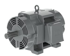 WEG CP075502NPW40(75HP, 3600RPM, 575V) - Duke Electric