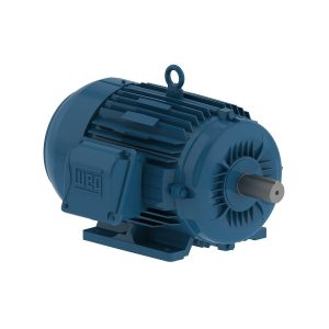 WEG CT000402NPW22(1HP, 3600RPM, 230/460V) - Duke Electric